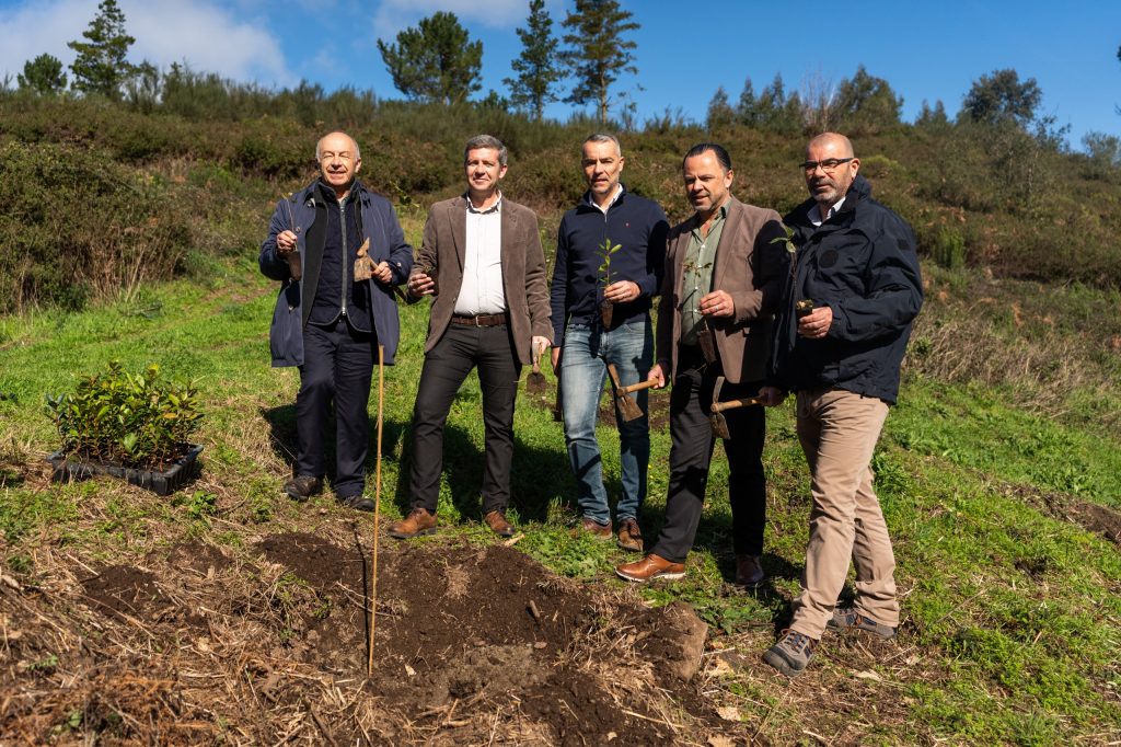 Carvalhos plantados na Fóia assinalam compromisso ambiental da Volta ao Algarve